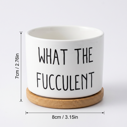Handmade Fucculent Plant Pot